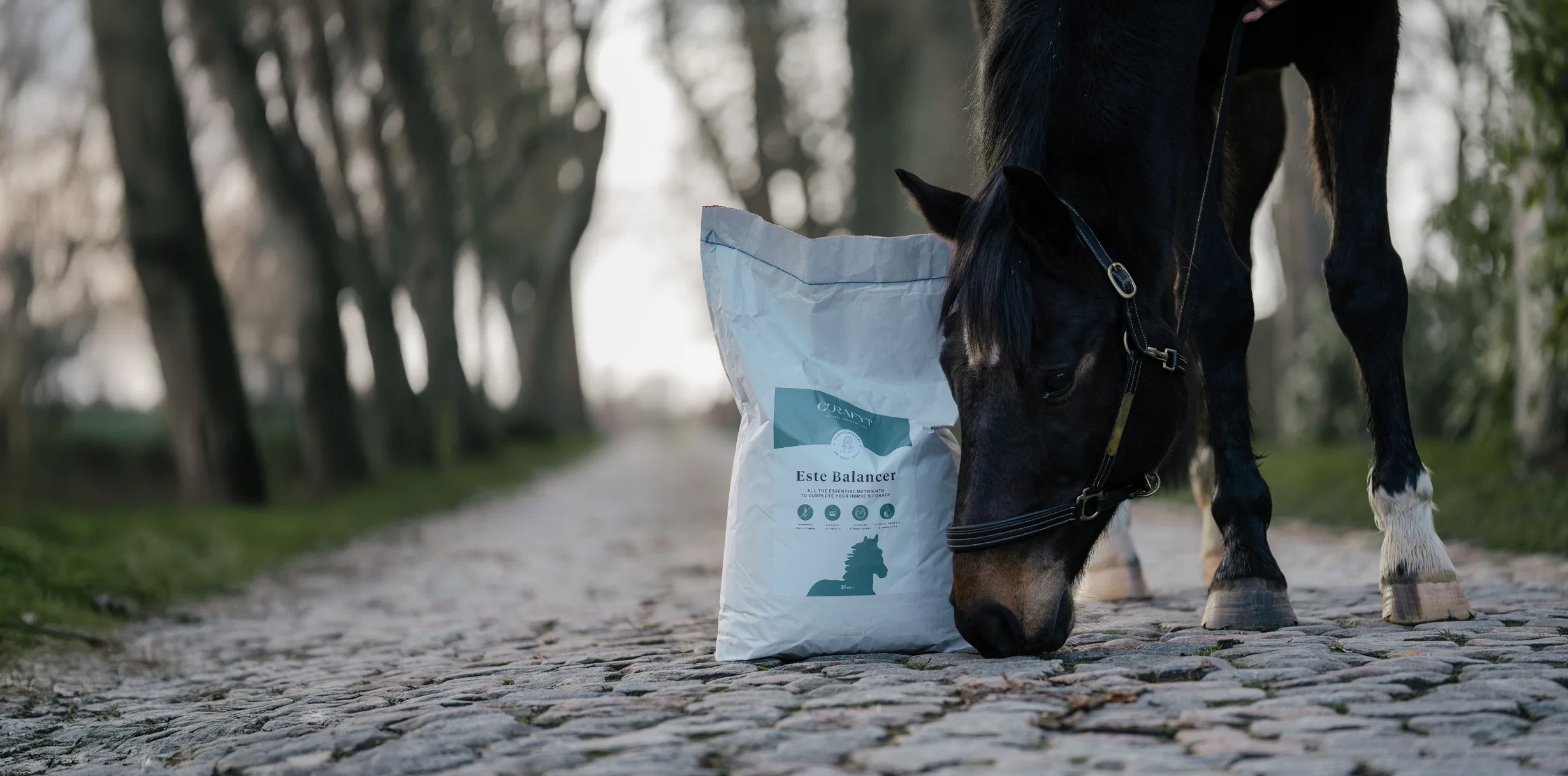 Welcome to Our Store